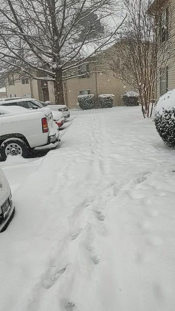 @Selicia Owens
