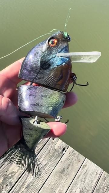 @Narrow Gate Baits