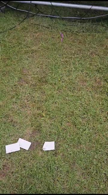 @xloyal_soulx