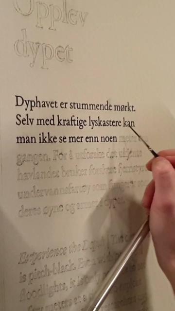 @oslo.skiltmaler