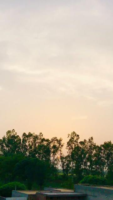 @Jiya Bishnoi