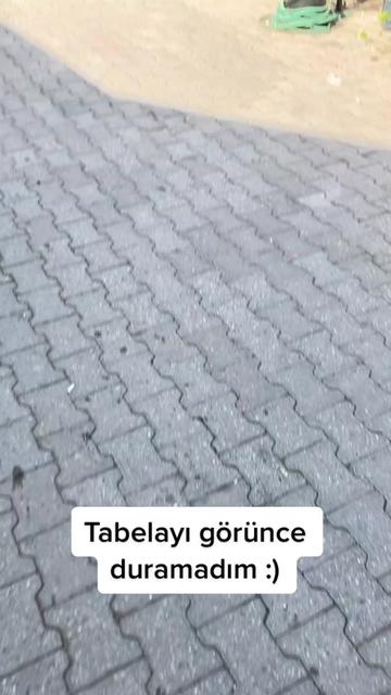 @Logolandin