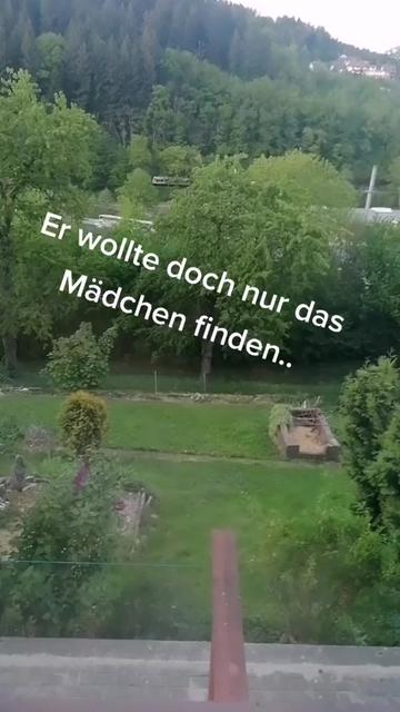 @❤️ Tiere ❤️