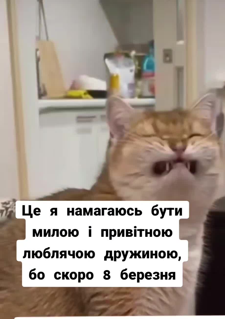 @Оксана Косаківська