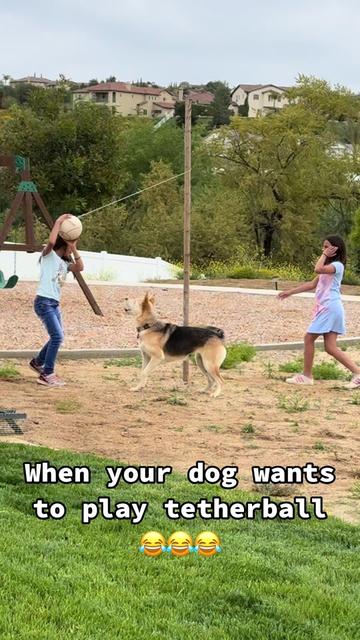 @boyanddogmommy