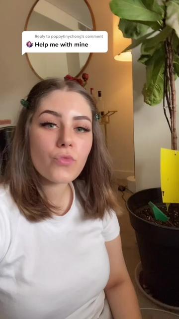 @KimmyG