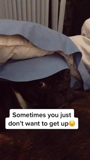 @wildlywinston