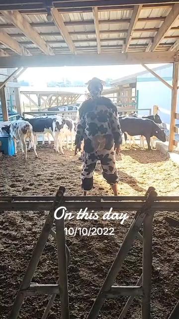 @Farmer Moo
