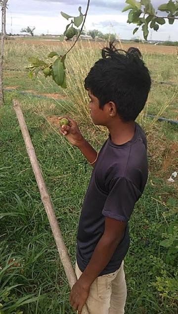 @kings sridhar sagar