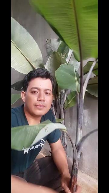 @NirwanaGarden