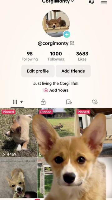@CorgiMonty