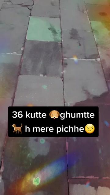 @bhartirinku