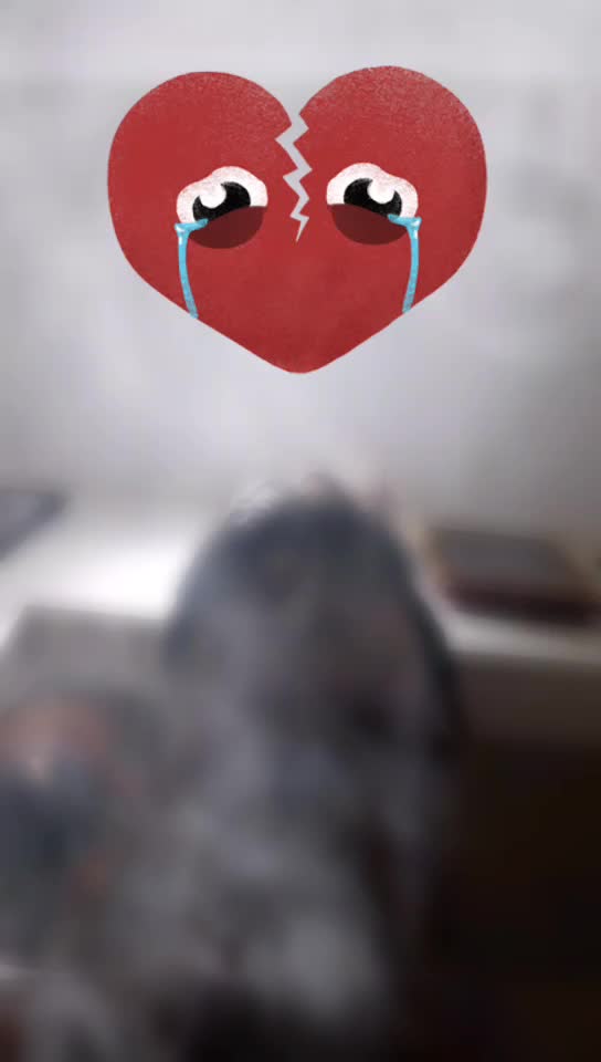@ನಾನು ಟ್ರೊಲ್ ಮಾಡಲಾ😍?
