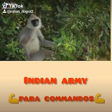@rohan dogra