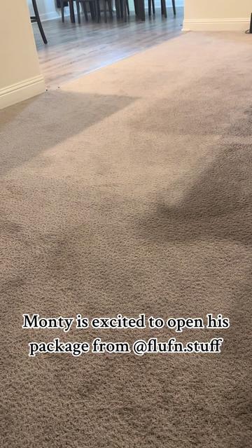 @CorgiMonty