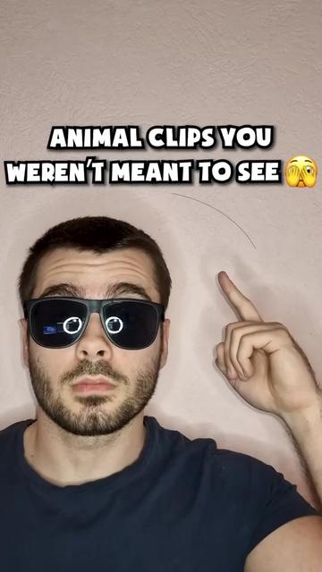 @JesseAndMike
