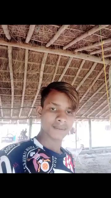 @bashirshaikh5861