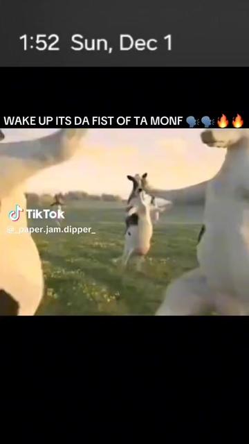 @King_Fishymon69420