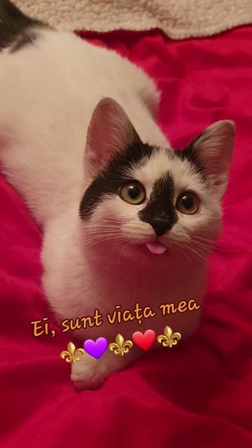 @๐ท๐ด๐ต€๐
๐ฟ๐ผ๐®๐ท๐ด