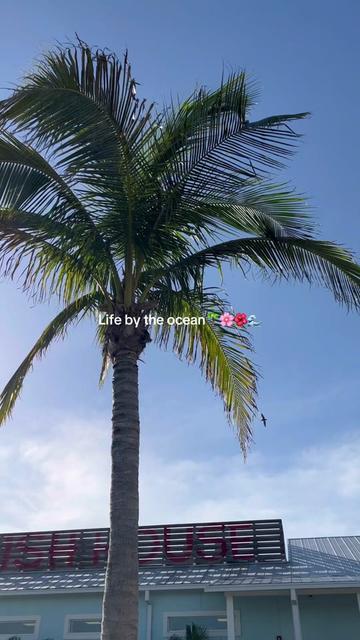 @andyslife