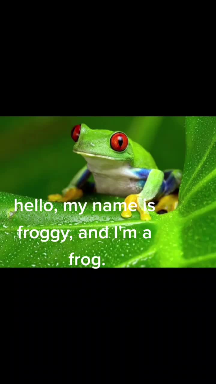 @a froggy