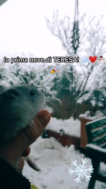 @susi_and_animals🐭🍀💕🎇