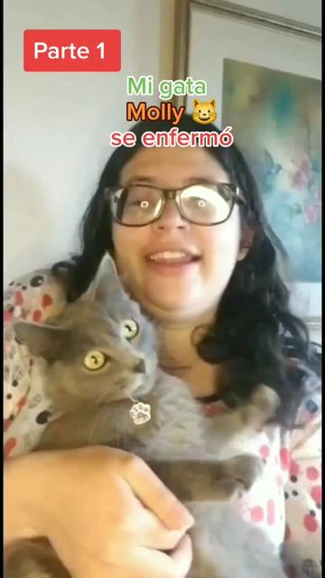@delimascotas