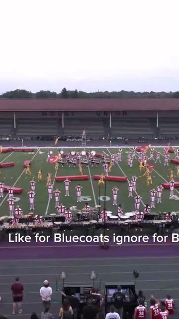@The Marching Tapir