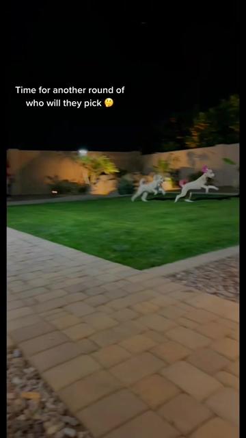 @Lia