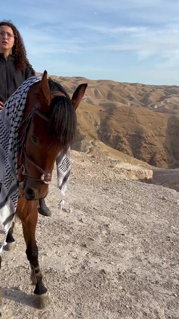 @Tia Alami | تيا علمي