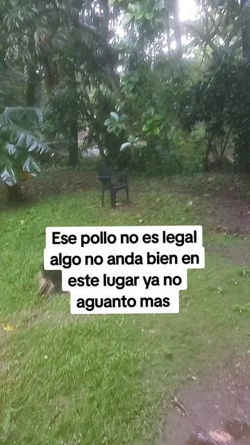 @Reliquia Dominicana