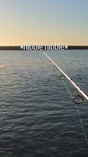 @SvenGoesFishing