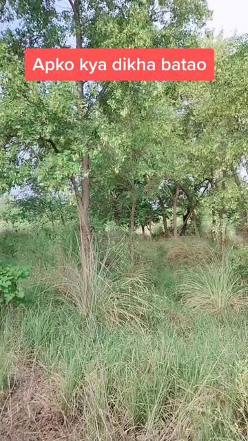 @Nitesh yadav