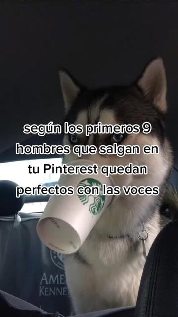 @QUETI🧚