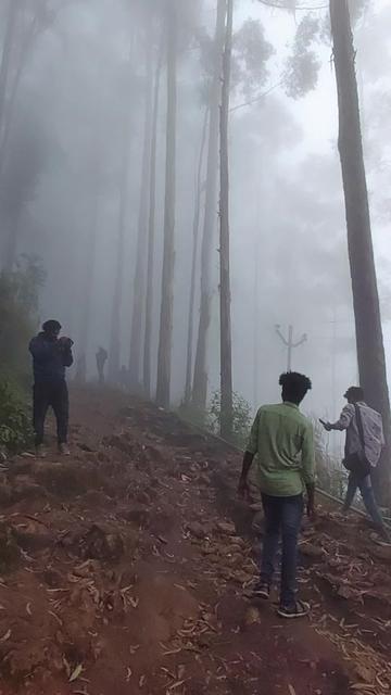 @Sreerag Velayudhan