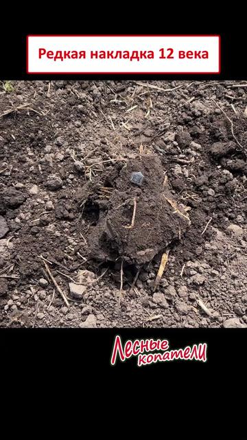 @Лесные Копатели