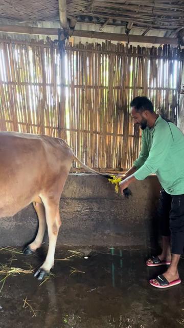 @Raju Siwakoti