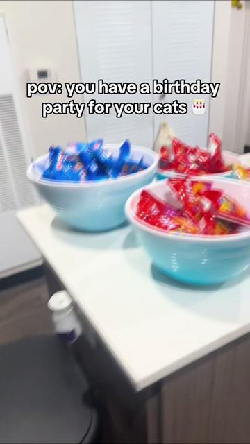 @Ricky and Lucy 🐈⬛