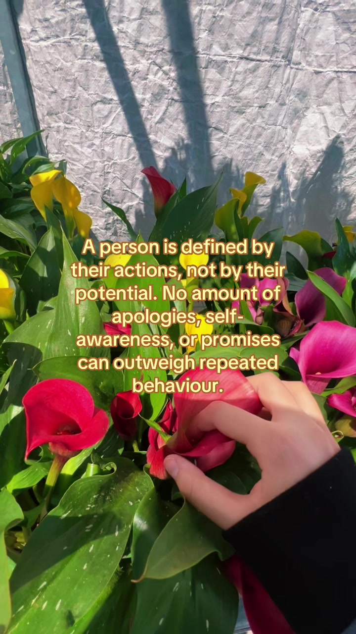 @˚.⋆ 𝒫𝒶𝒾𝓉 𖤓☽