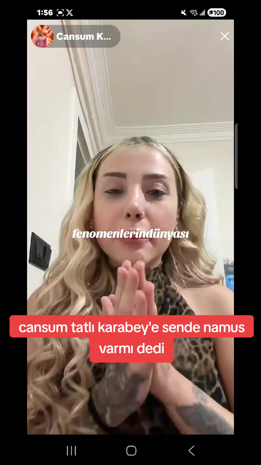 @✨Fenomenlerin Dünyası✨
