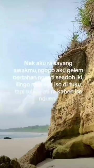 @Wiie_Wiie