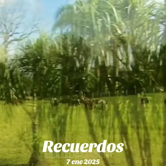 @Erick Elias Archive