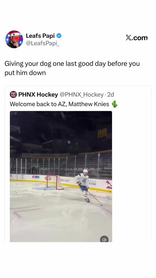 @leafspapi