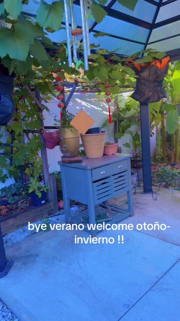 @Margarita Valdez