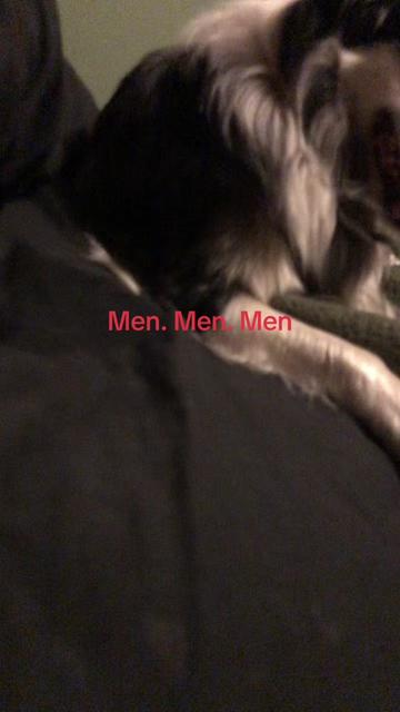 @Kathrynzside🐈