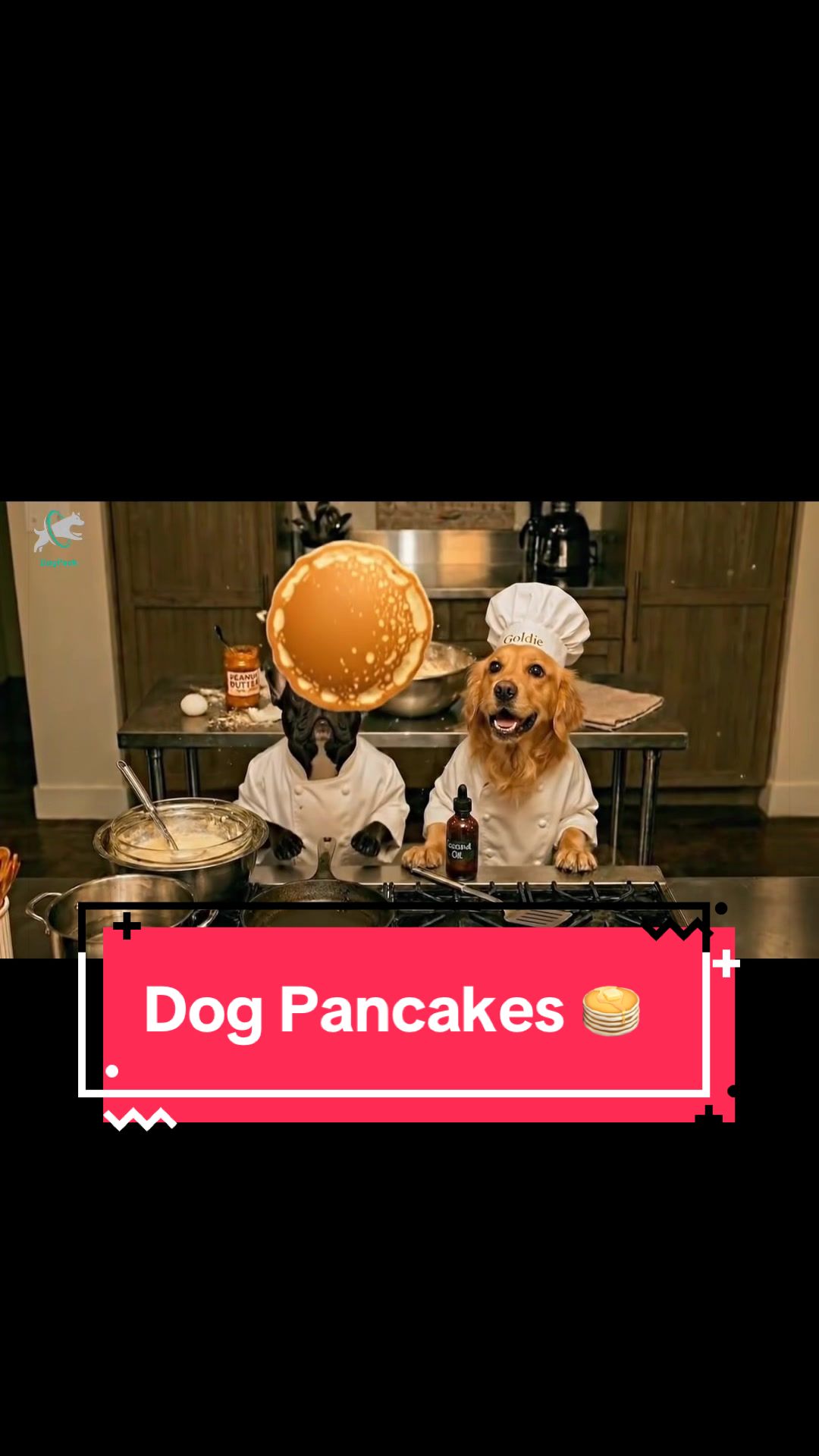 @DogPack