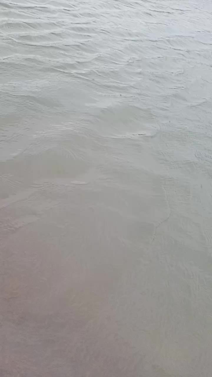 @Ila Nagaraju