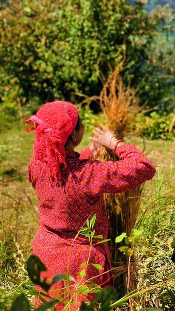 @थिँयाल 🌿
