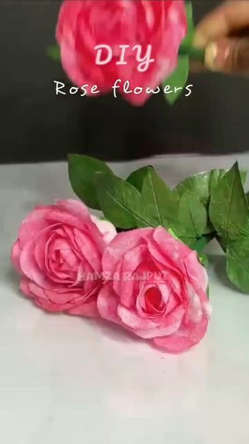@Hamza Rajput
