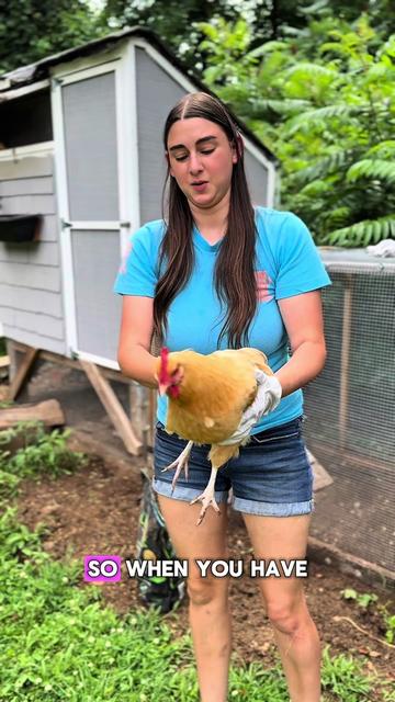 @Heart & Hoof Homestead